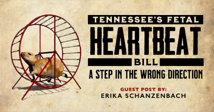 Tennessee Fetal Heartbeat Bill—A Step in the Wrong Direction